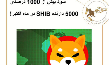 سود بیش از 1000 درصدی 5000 دارنده SHIB در ماه اکتبر!