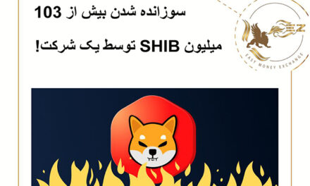 سوزانده شدن بیش از 103 میلیون SHIB توسط یک شرکت!